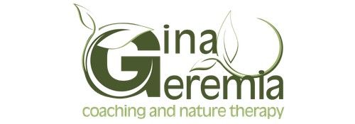 Ginageremia